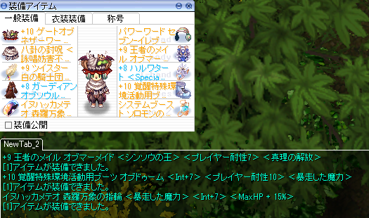 猫の装備を更新しました 21年6月 おうちでro