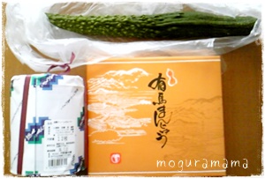 f:id:moguramama:20170625161701j:plain