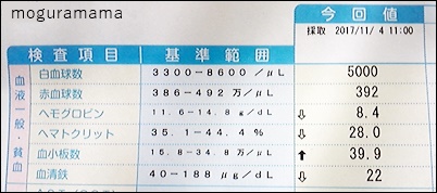 f:id:moguramama:20171110130319j:plain