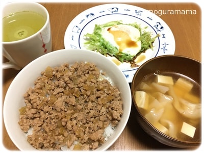 甘辛そぼろ丼