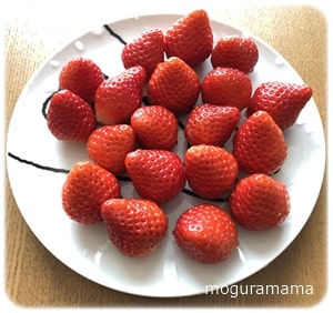 いちご いちご