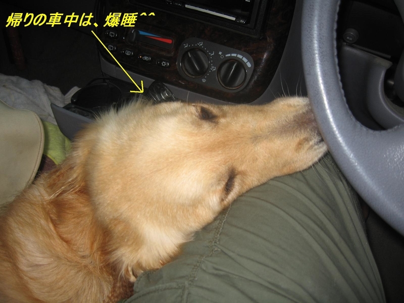 イメージ 11