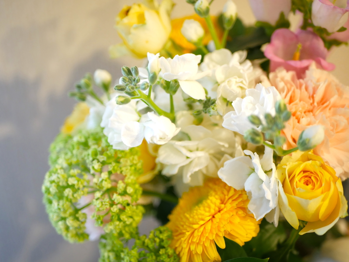 f:id:mogusuma:20210415201523j:plain
