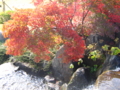 20091108130223