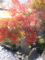 20091108130233