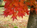 20091113151737