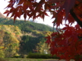20091113151755