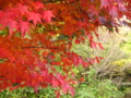 20091113151914