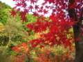 20091113152144