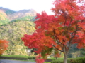 20091113152257