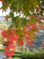 20091113152326