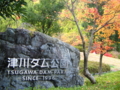 20091113152542