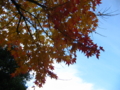 20091113152616