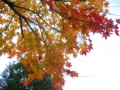 20091113152655
