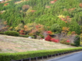 20091113152804