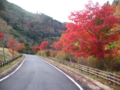 20091113153128