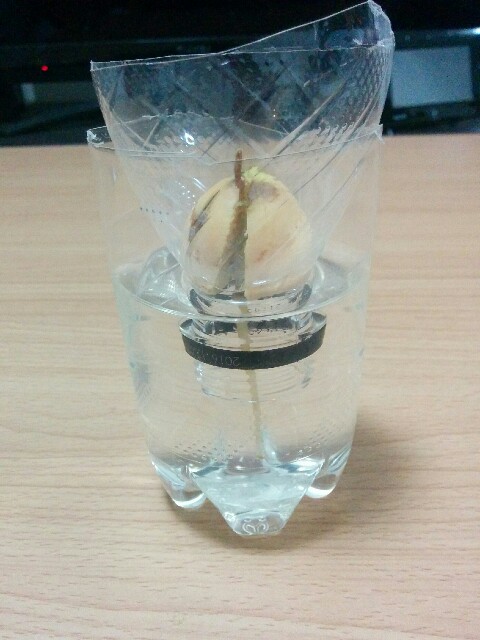 f:id:mogy:20160813191205j:plain