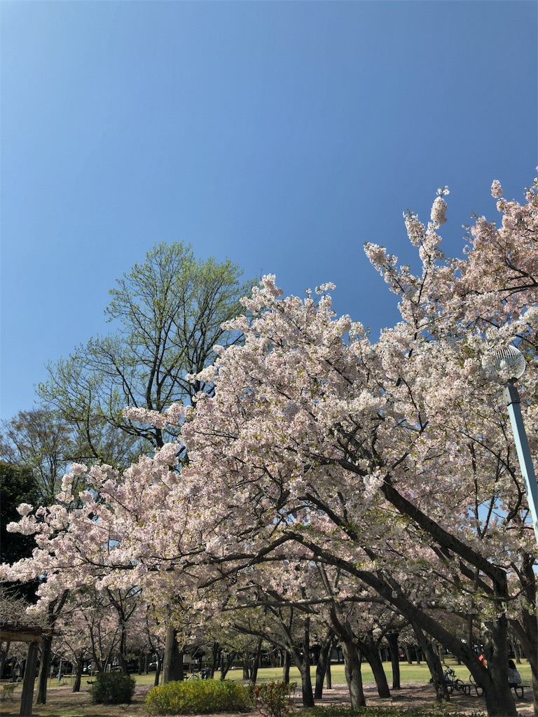 f:id:mogyy:20180331111044j:image