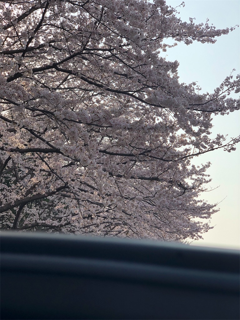 f:id:mogyy:20190408180053j:image