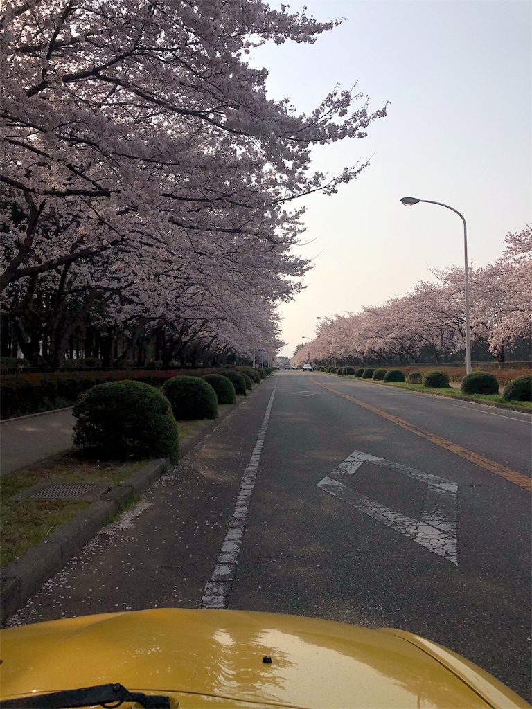 f:id:mogyy:20190408180105j:image