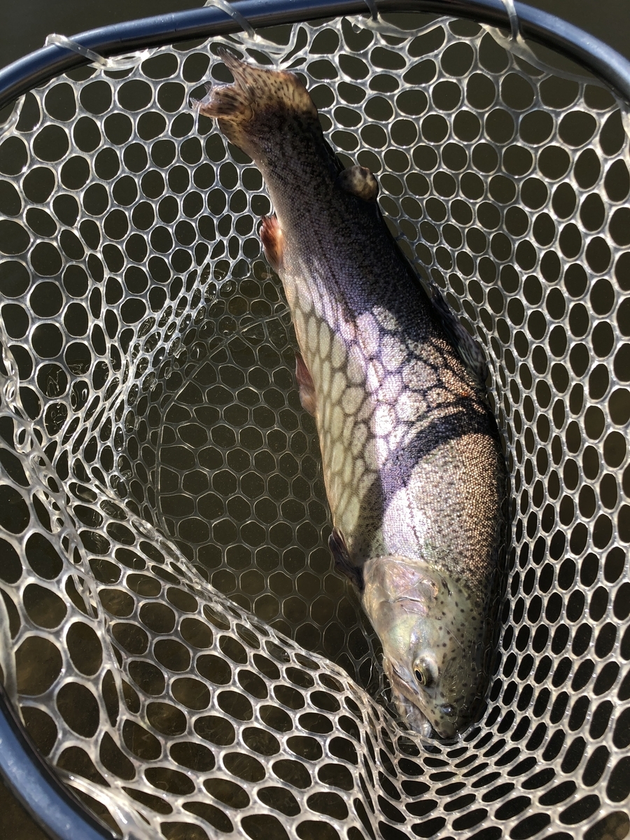 f:id:mogyy:20211124105732j:plain