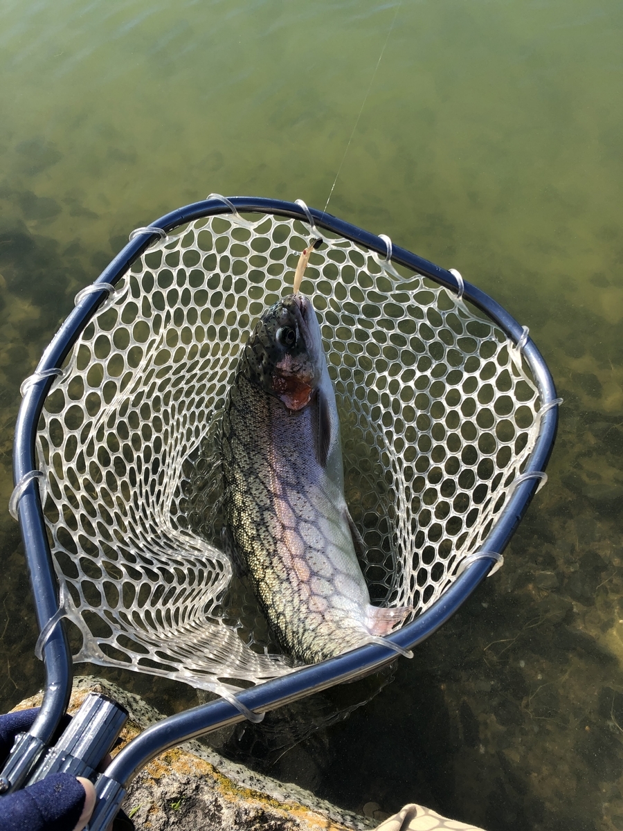 f:id:mogyy:20211127094254j:plain