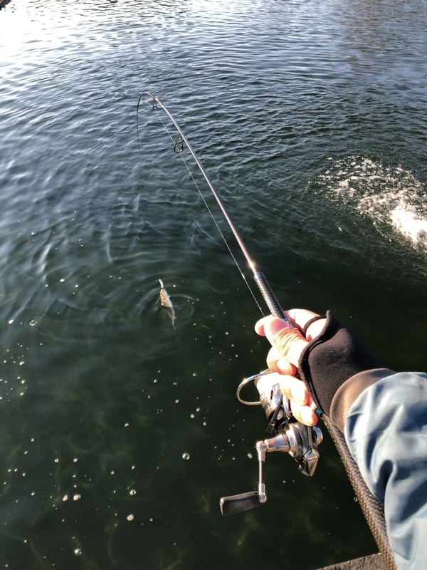 f:id:mogyy:20211205075432j:plain