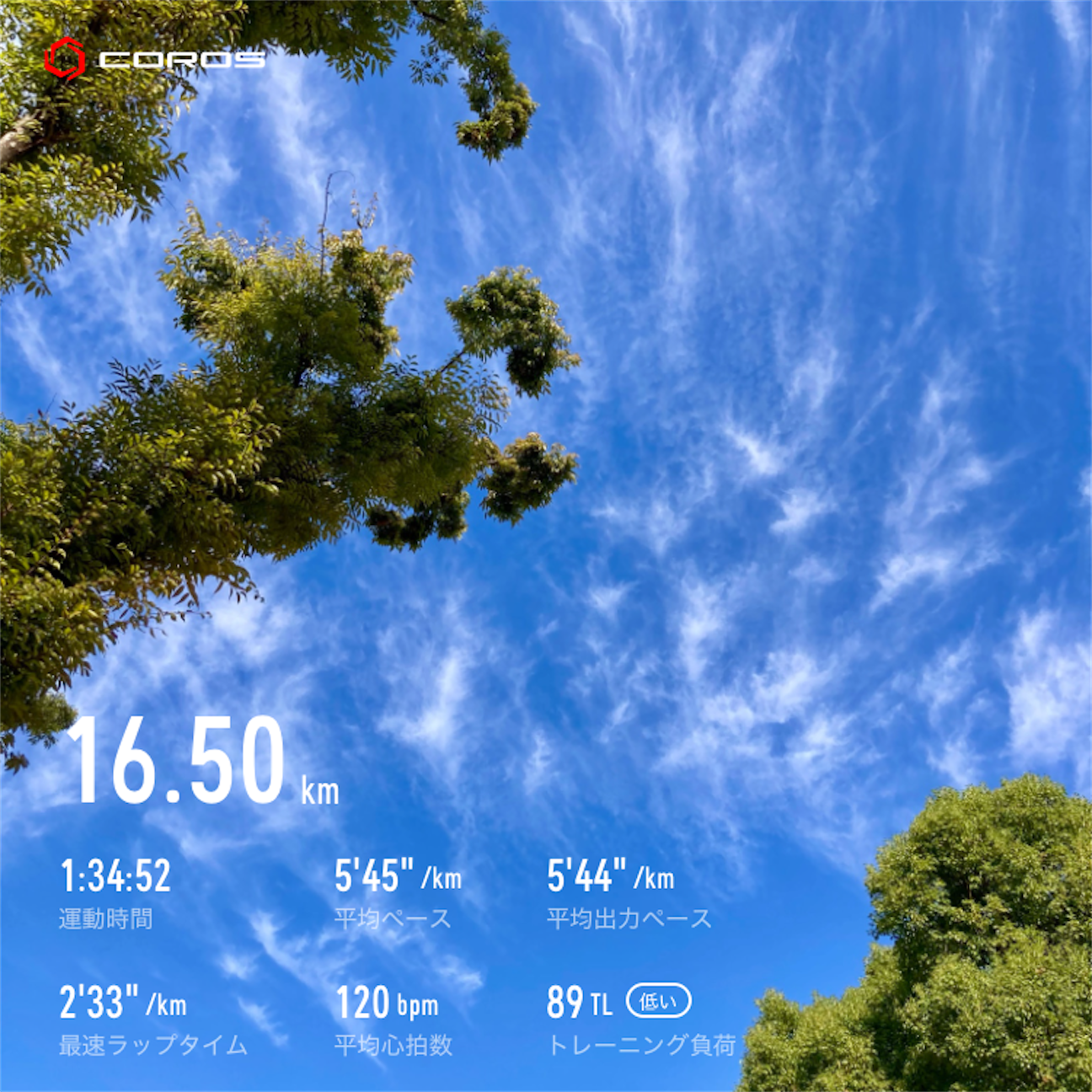 f:id:mohawkrunner:20261022092643p:image