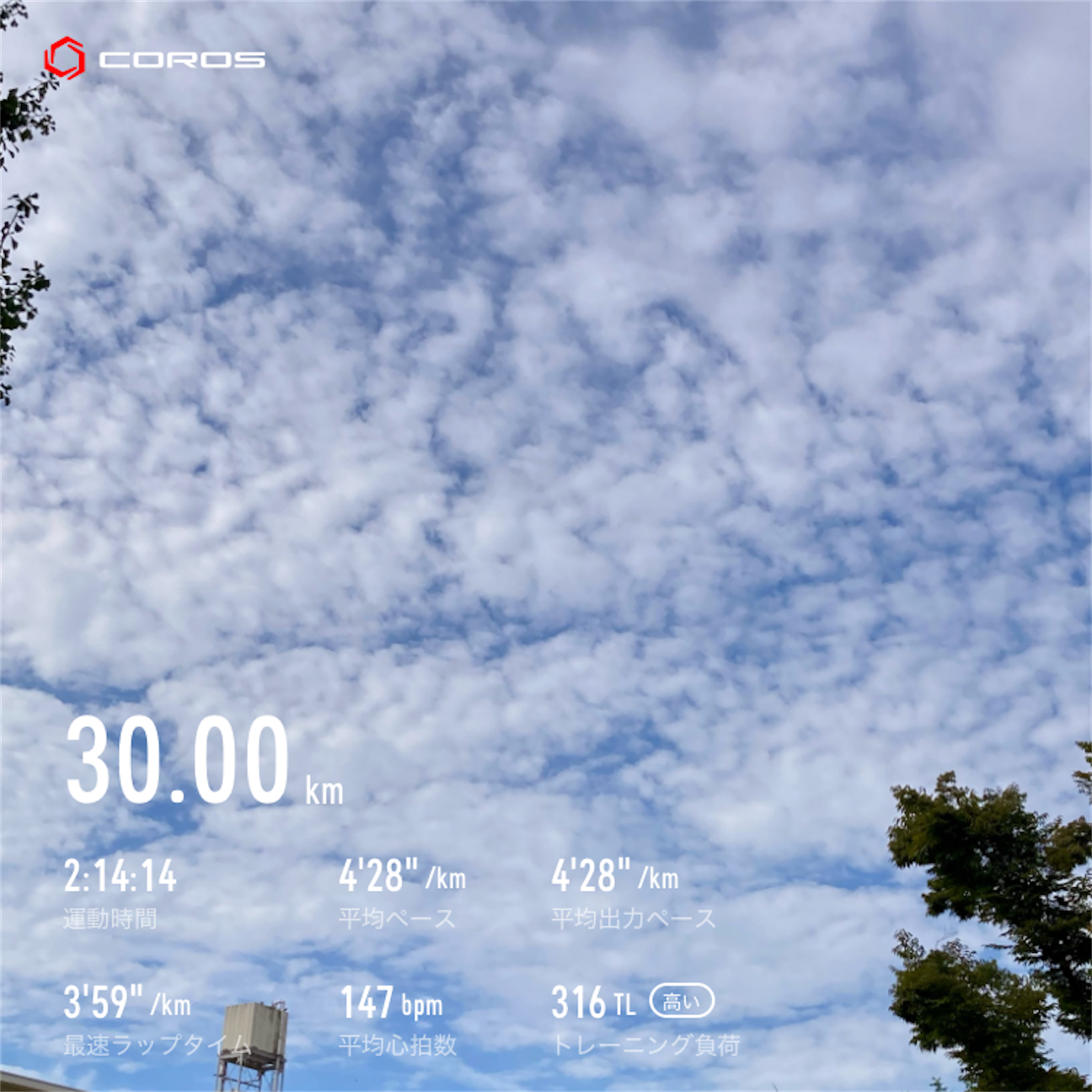 f:id:mohawkrunner:20261023102836p:image