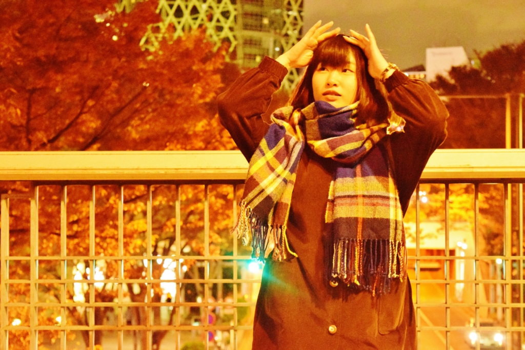 f:id:mohi_wakame:20151123200207j:plain