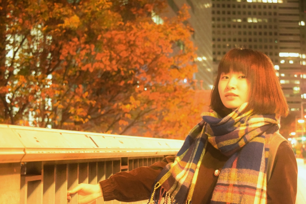 f:id:mohi_wakame:20151123201345j:plain