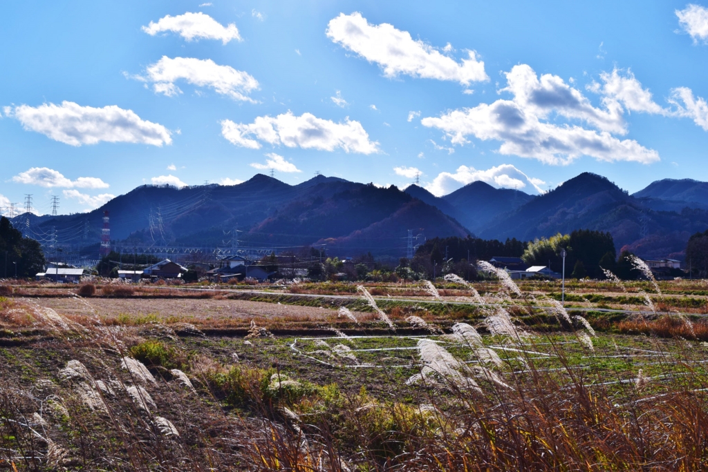 f:id:mohi_wakame:20151211143523j:plain