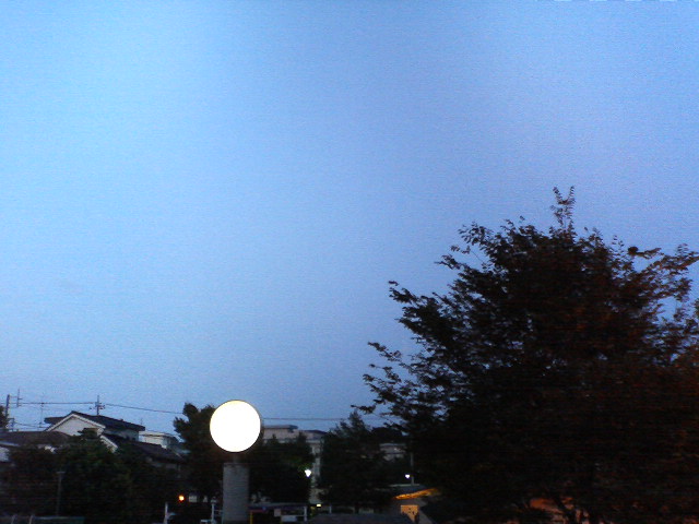 P1000128.JPG