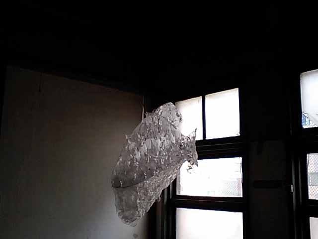 f:id:mohri:20080526163419j:image