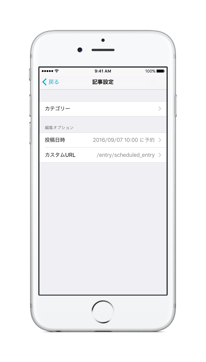 カテゴリーの下に「編集オプション」が追加されている 編集オプション