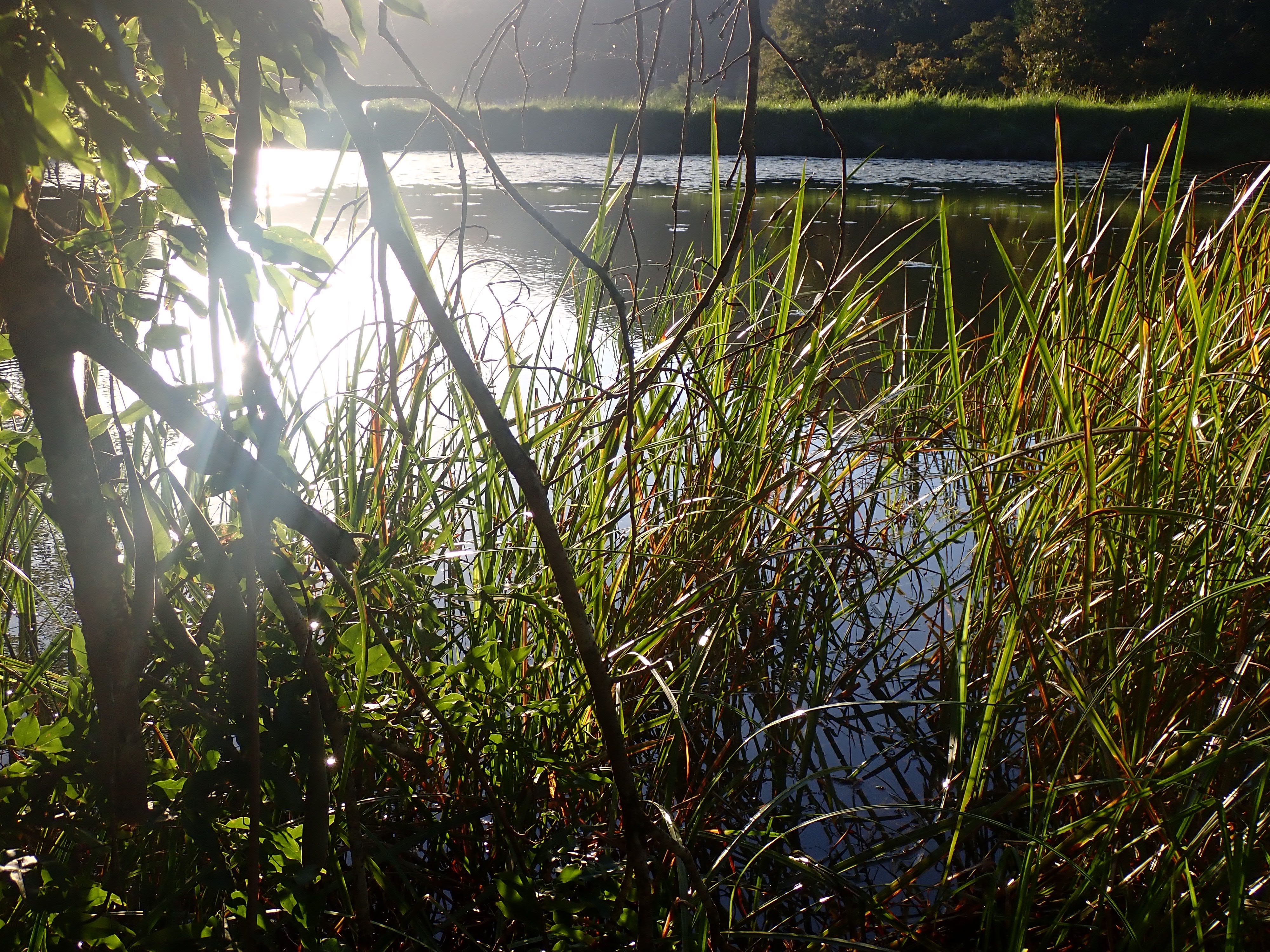 f:id:moi56nature:20220213205414j:image