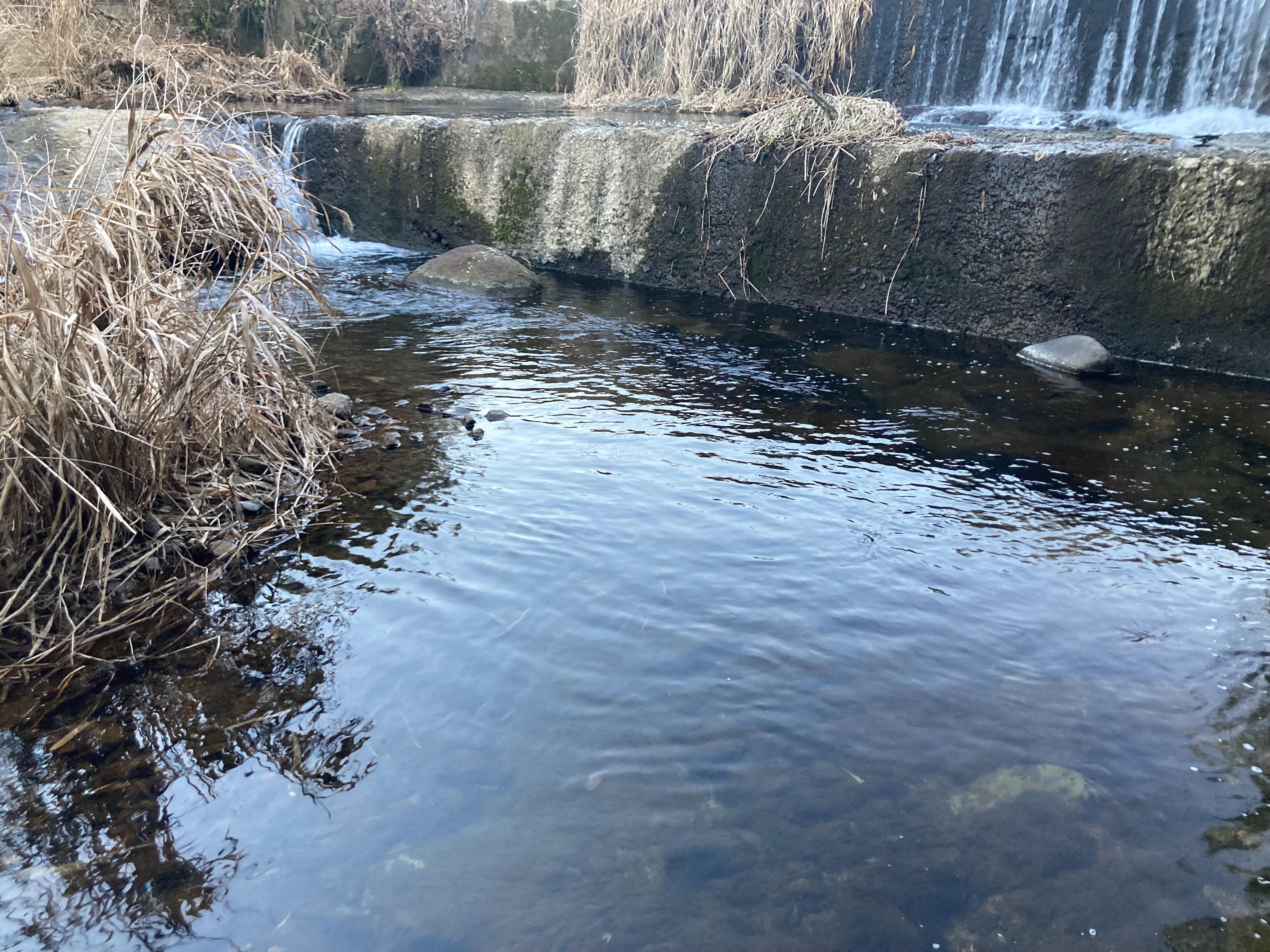 f:id:moi56nature:20220314212422j:image