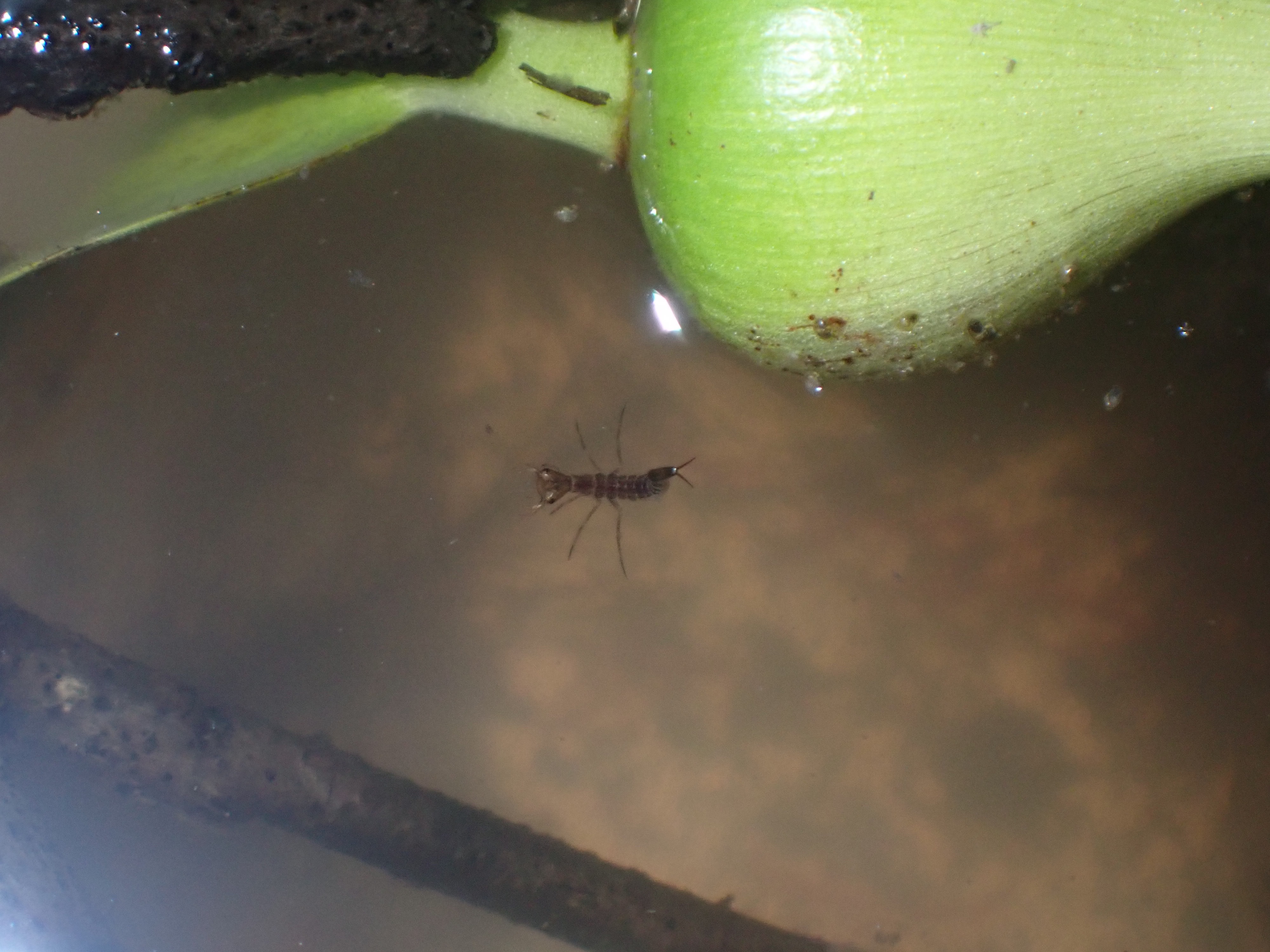 f:id:moi56nature:20221103224626j:image