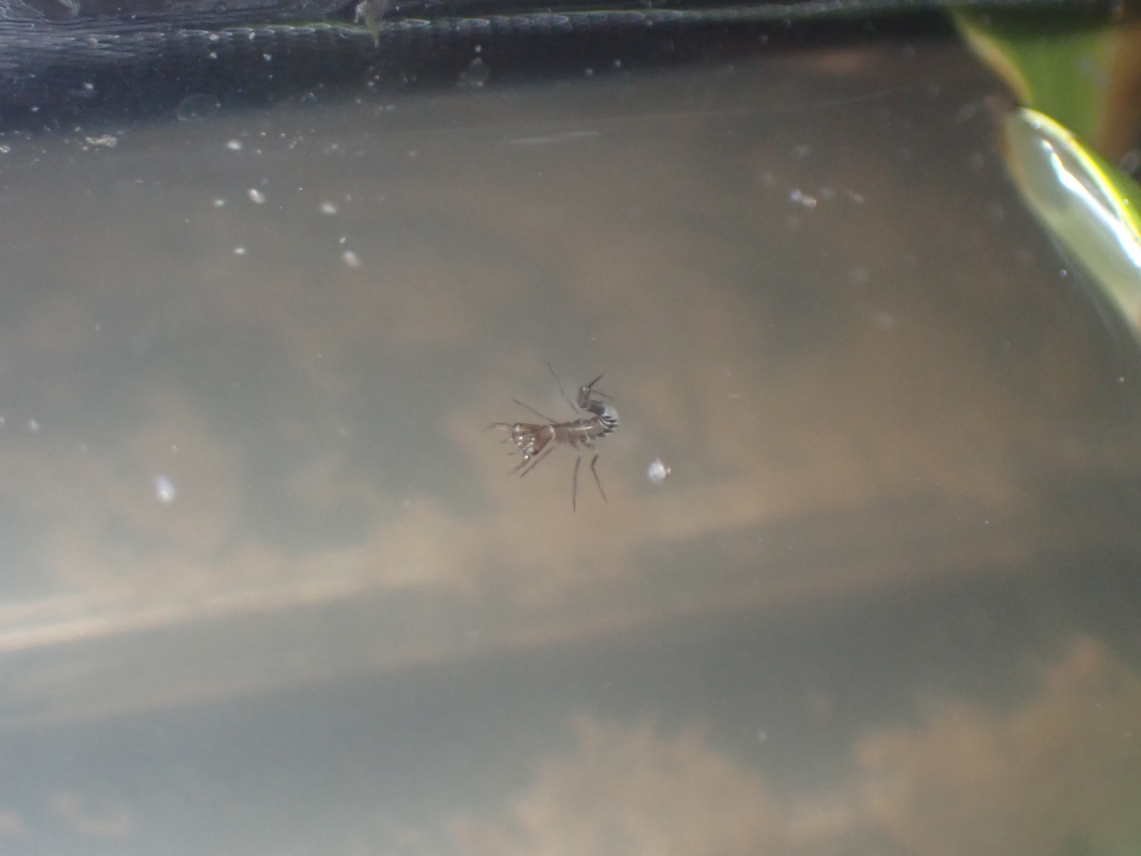 f:id:moi56nature:20221120112316j:image