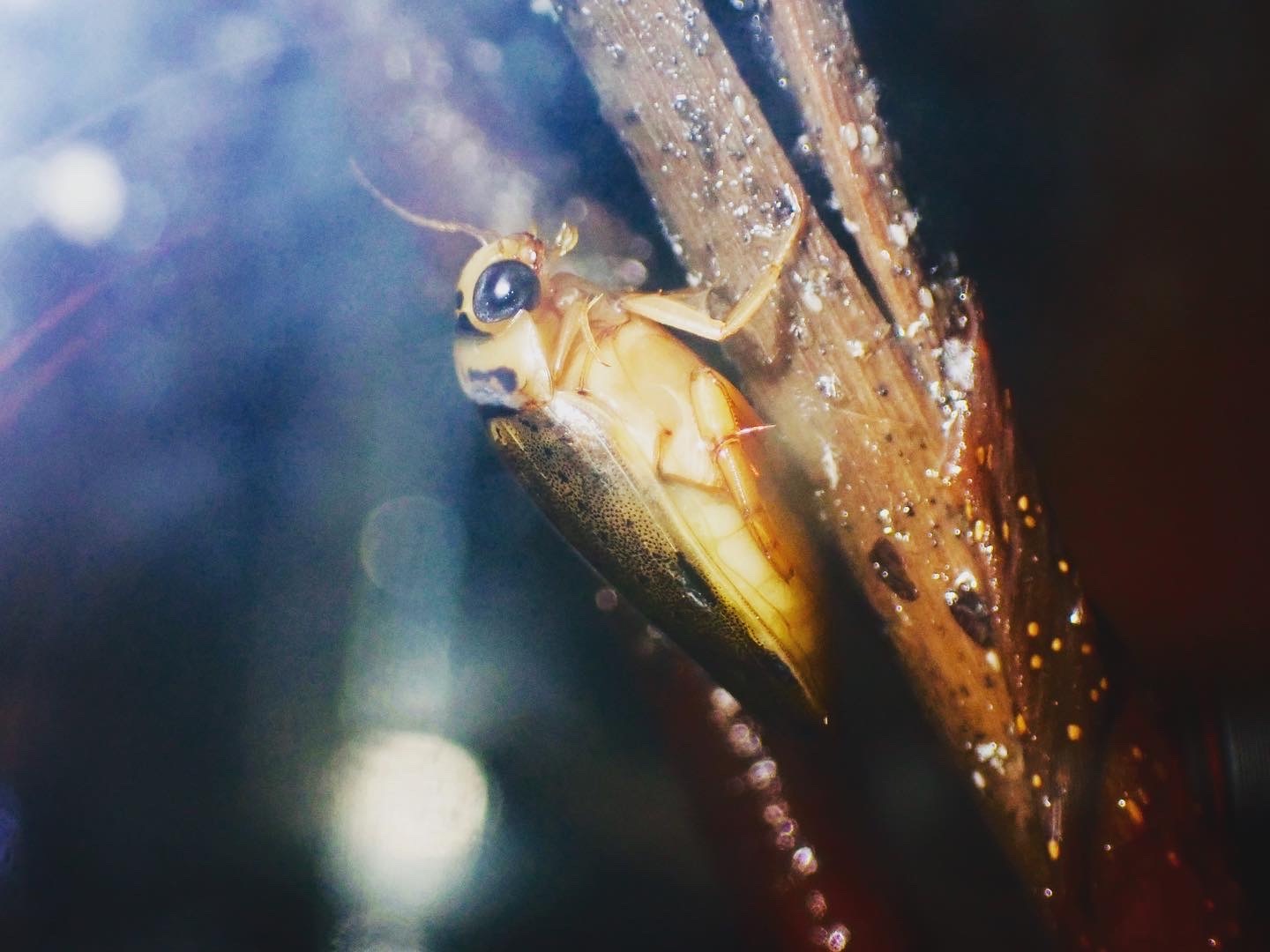 f:id:moi56nature:20230510201439j:image