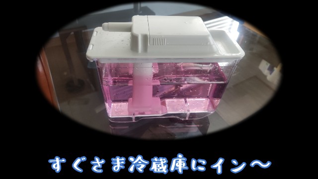 f:id:moichi-DIY:20240602083419j:image
