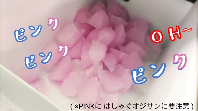 f:id:moichi-DIY:20240602083453j:image