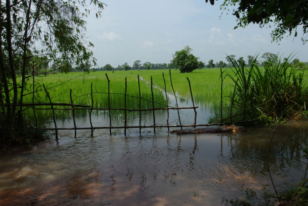 f:id:moily-cambodia:20161013153350j:plain f:id:moily-cambodia:20161013153350j:plain