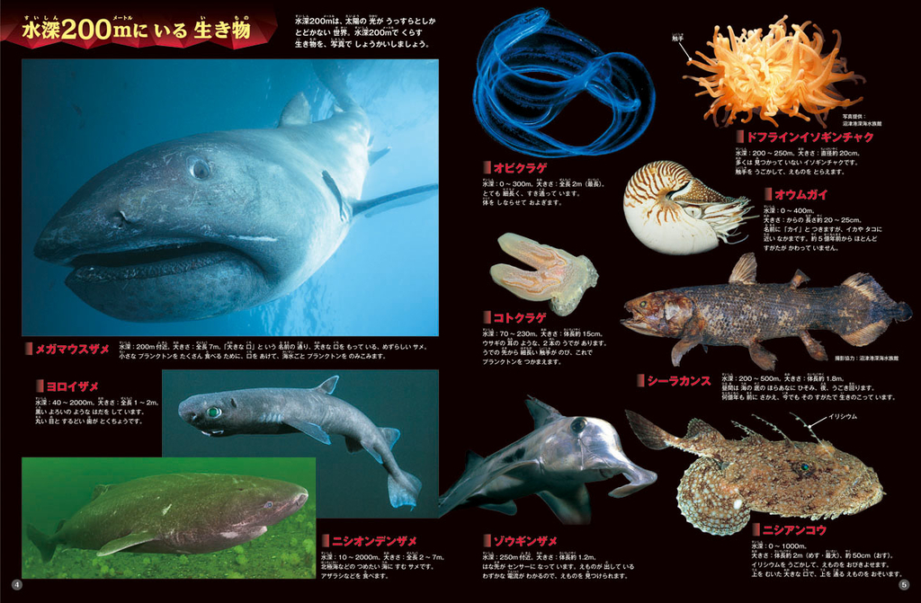 深海の生き物の秘密をしかけで楽しく学べる図鑑が発売 Mojiru もじをもじる はじめての漫画家 イラストレーター めざせ 漫画家とイラストレーター 初心者がはじめる漫画とイラストの描き方の独学日記