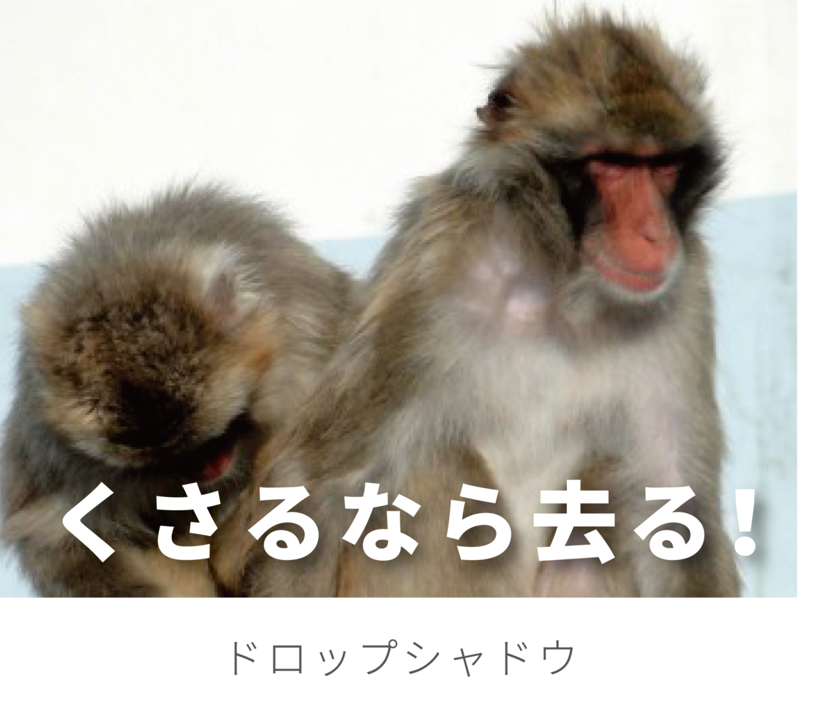 f:id:mojiru:20190514114953p:plain f:id:mojiru:20190514114953p:plain