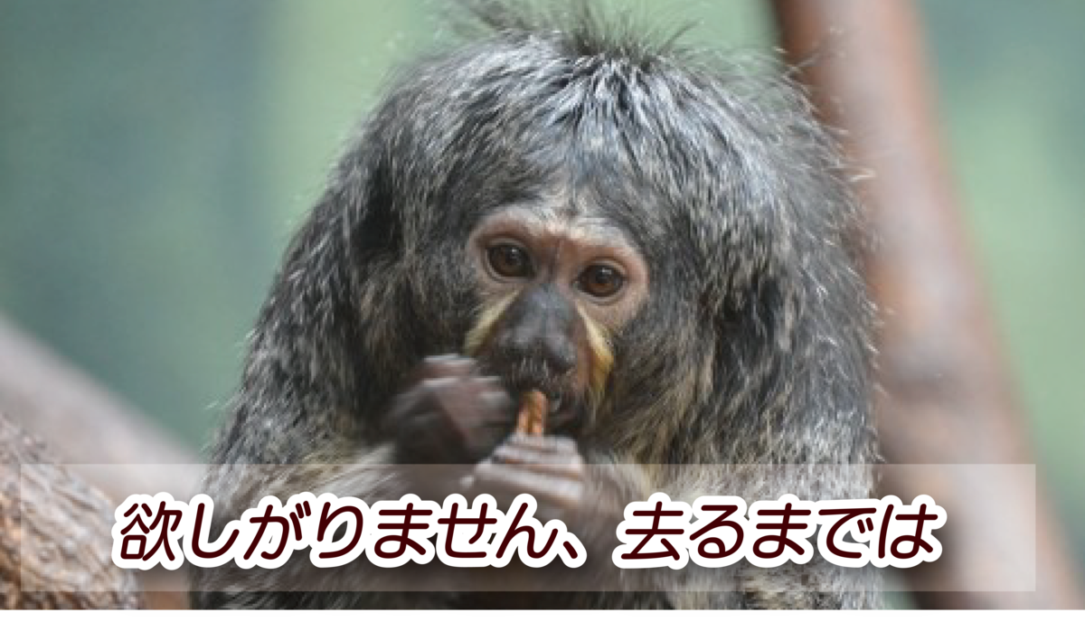 f:id:mojiru:20190528164307p:plain