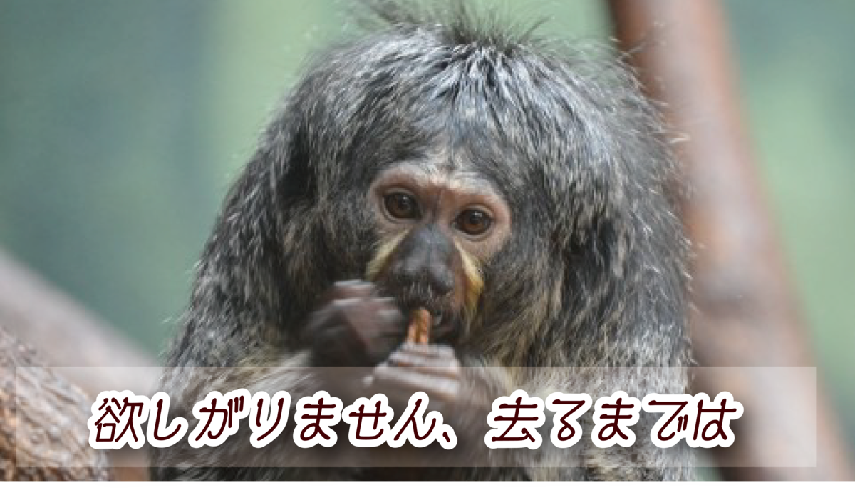 f:id:mojiru:20190528164346p:plain f:id:mojiru:20190528164346p:plain