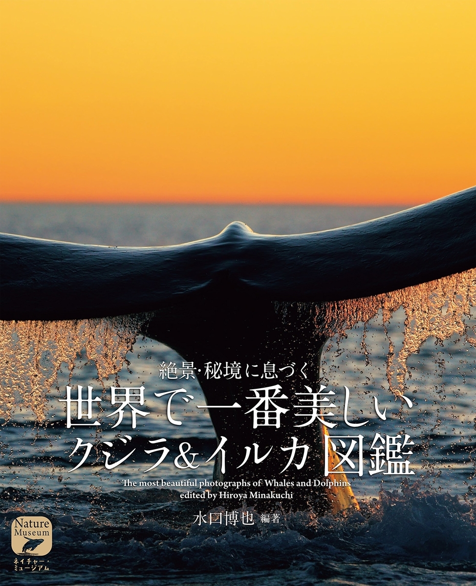 f:id:mojiru:20190625090023j:plain f:id:mojiru:20190625090023j:plain
