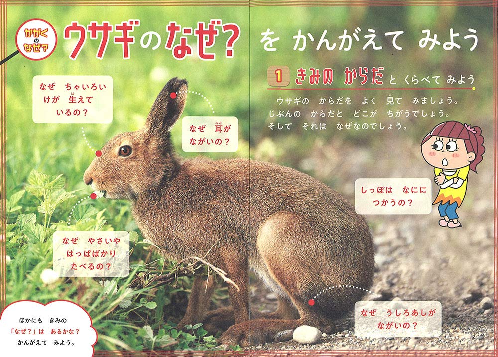 f:id:mojiru:20190717082251j:plain