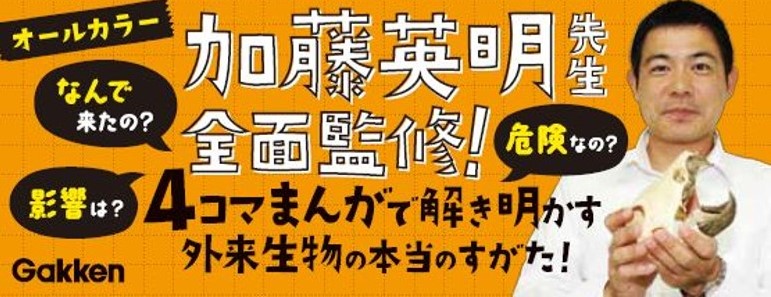 f:id:mojiru:20190729082228j:plain